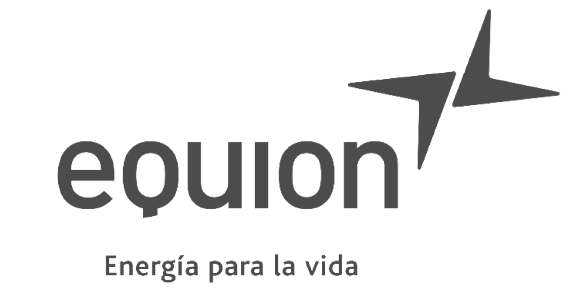 Equion logo